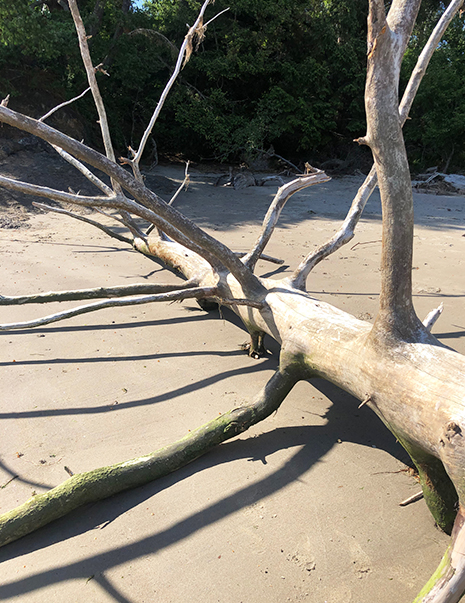 fort Columbia Astoria pacific coast