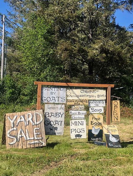 yard sale Long Beach longest garage sale memorial day