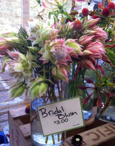 This flower was so pretty with the proteas and sedum - and the name, well, perfect. 