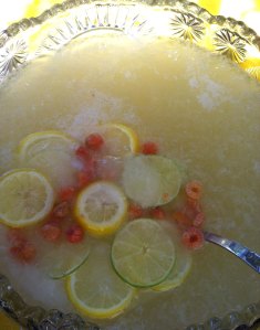 Lemonade and Ginger Punch
