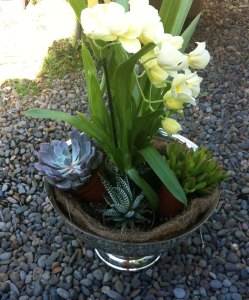 Planters STUDIO TULLIA 2