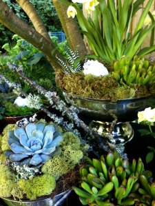 Planters STUDIO TULLIA 4