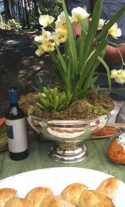 Planters STUDIO TULLIA 5