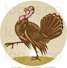 turkey logo