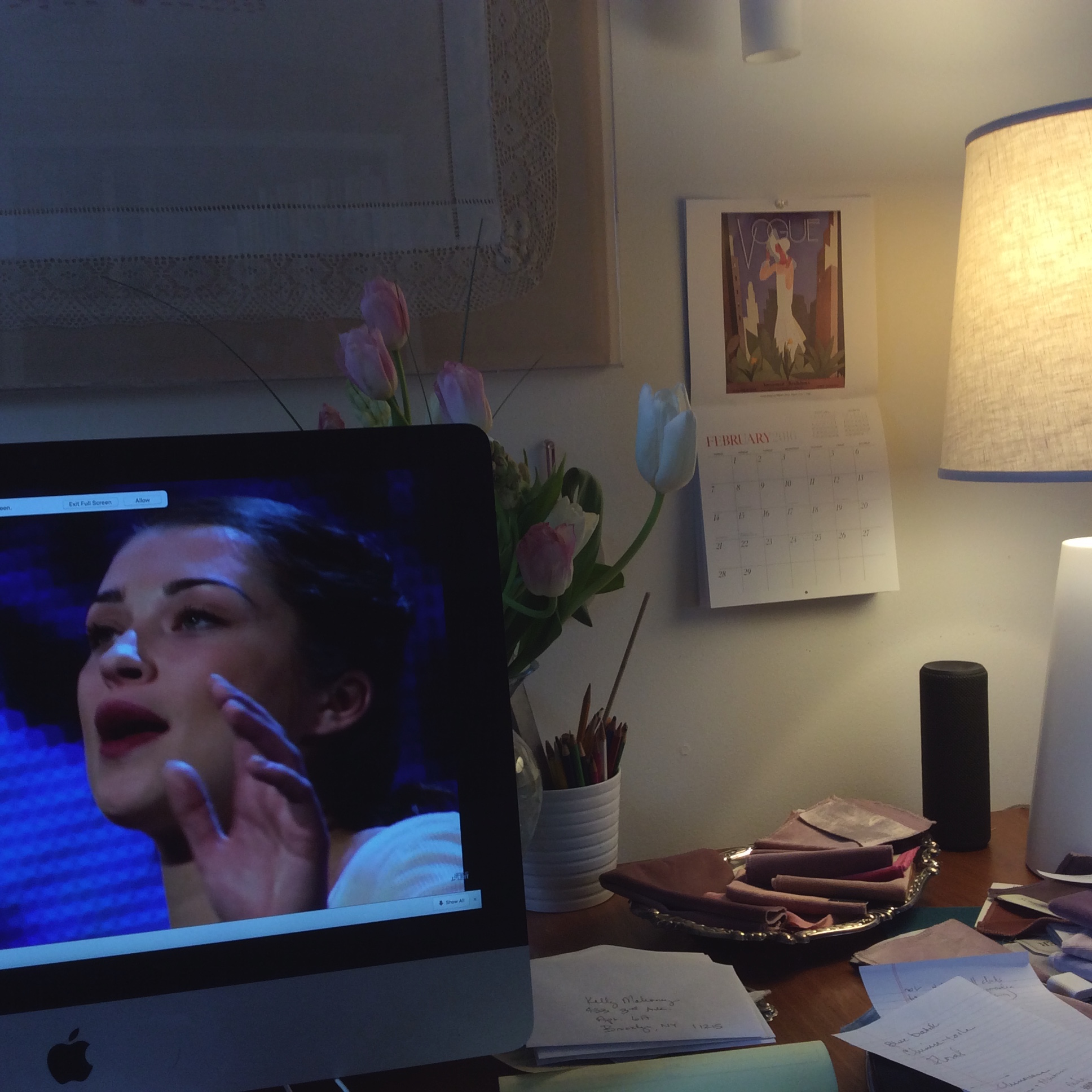 Alice - Studio Tullia 2.12.2016.JPG