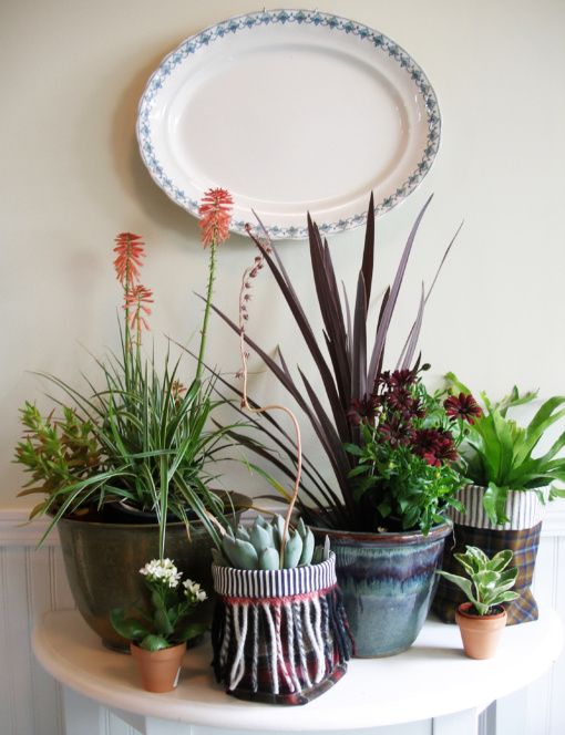 HELLO FALL, how are you?