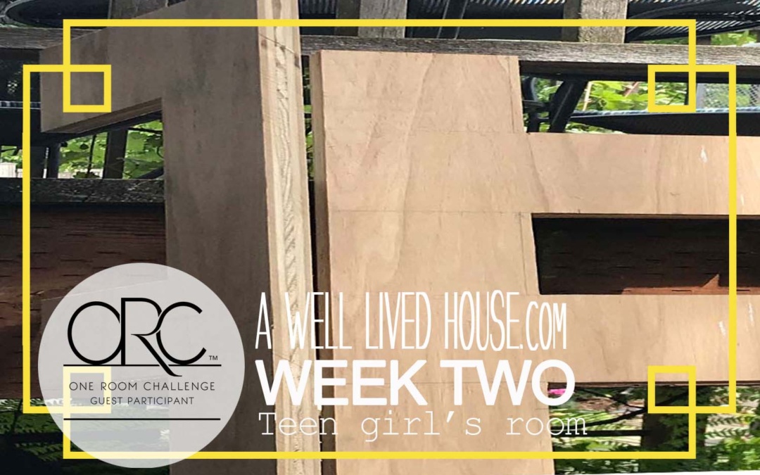 TEEN GIRL’S ROOM – SECOND WK OF THE ONE ROOM CHALLENGE