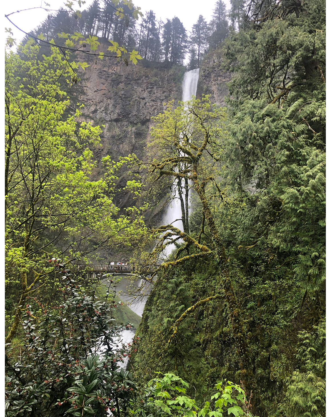 multnomah_falls_lo