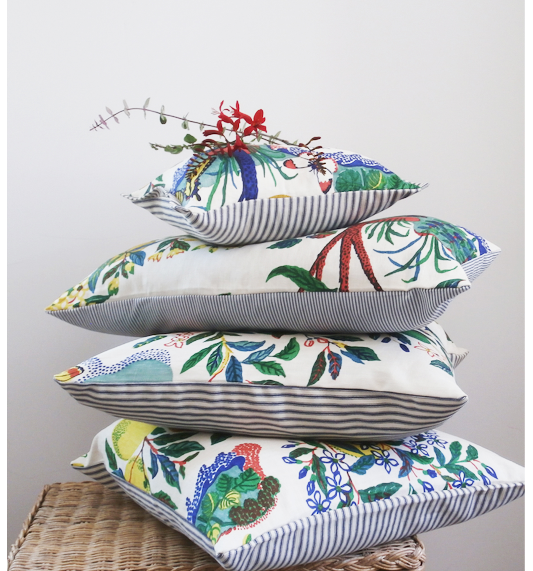 citrus garden primary